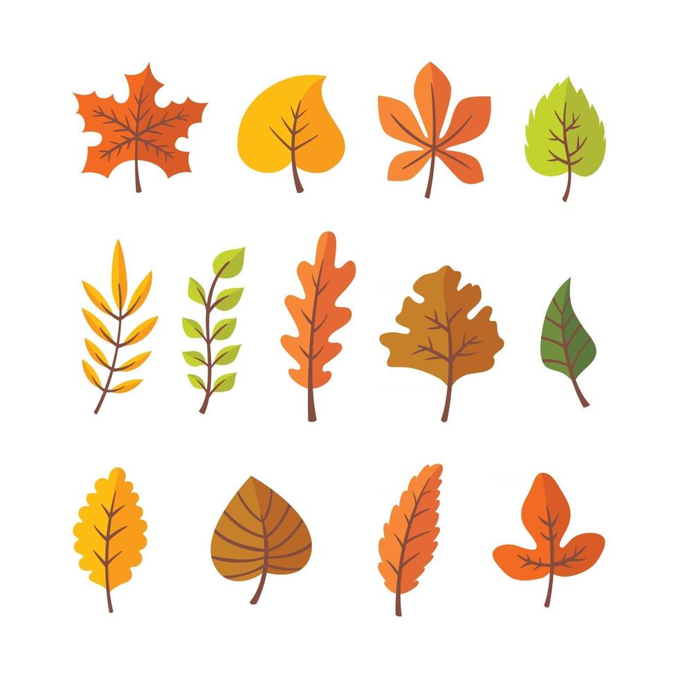 colección de diferentes hojas de otoño. vector