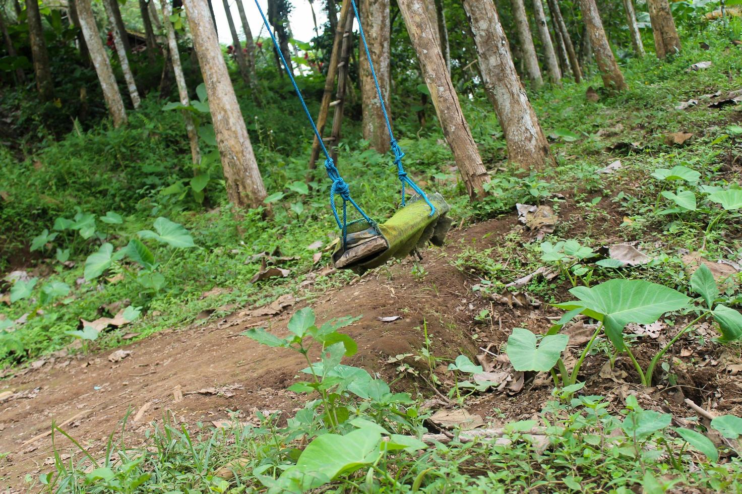 Swing, a traditional toy made from scrap materials photo