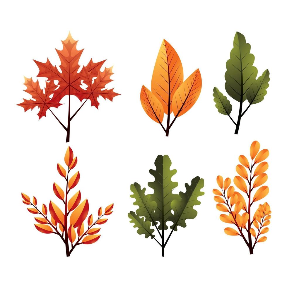 Autumn Leaf Icon Concept vector