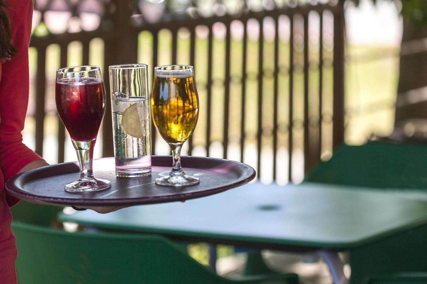 Aperitif in the garden, Spain photo