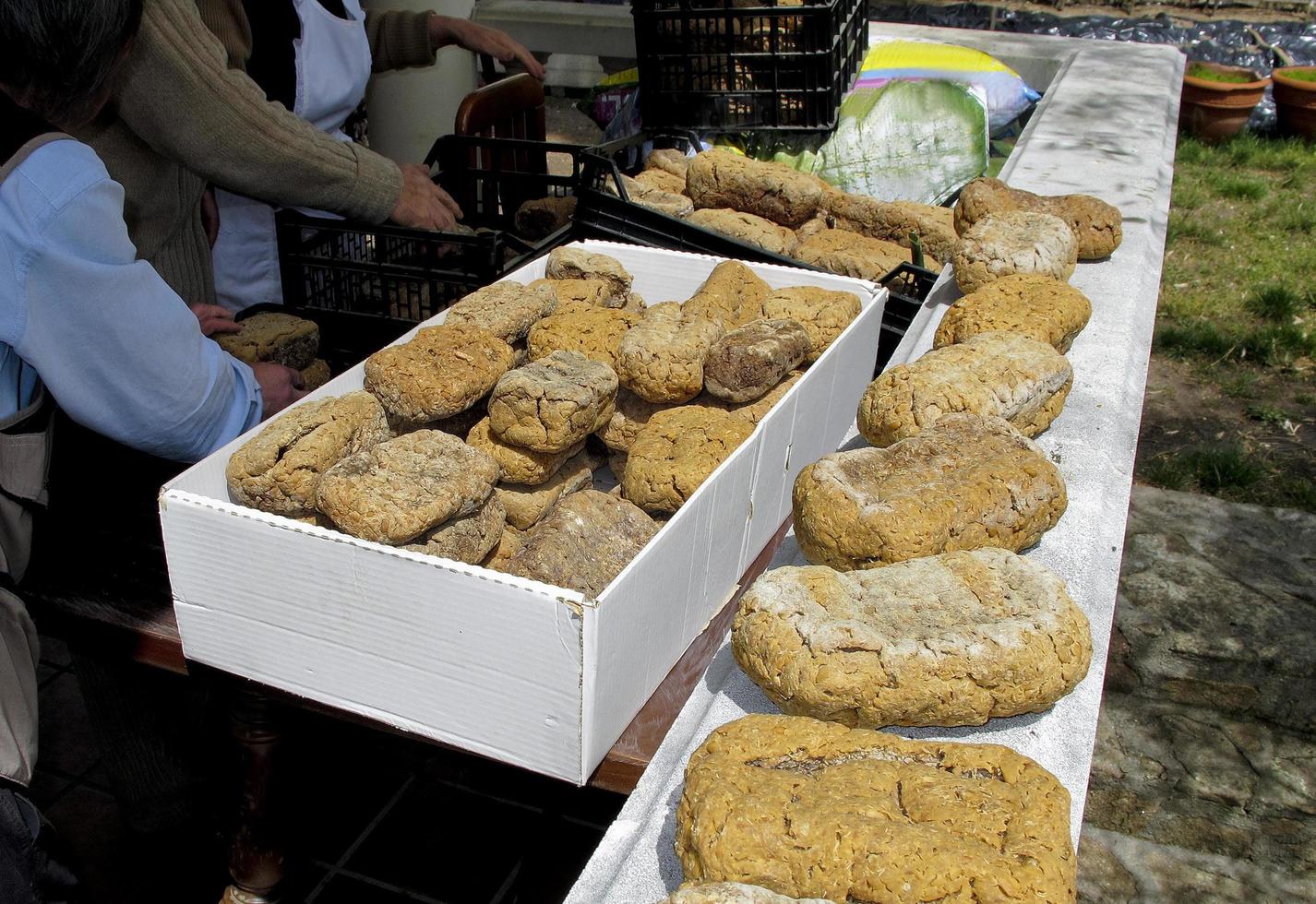 DoenJang, traditional in Korea food. Fermentation of soybean paste photo