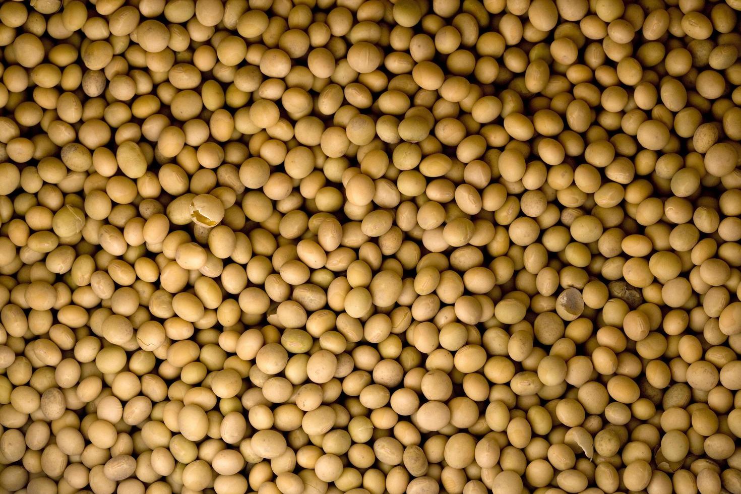 Preparation of DoenJang, traditional Korea food. Detail of soybeans