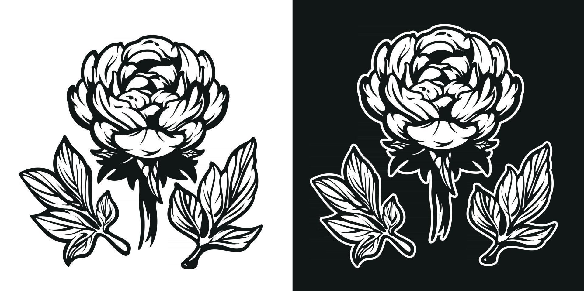 Black and white illustration of the Peony flower. vector