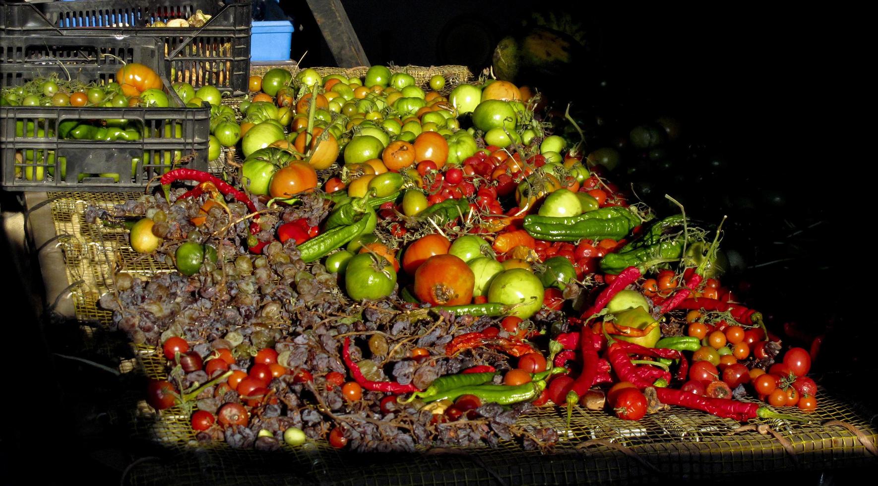 Drying of tomatoes, chillies and raisins in Avila Spain photo