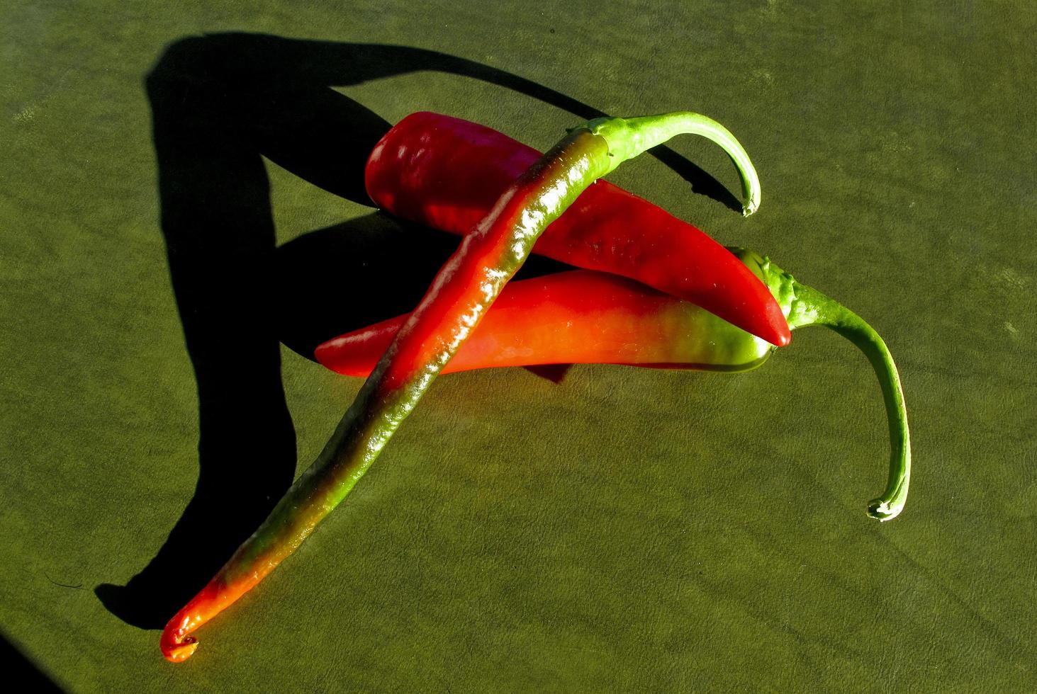 Detail of a single red chilli pepper, spain photo