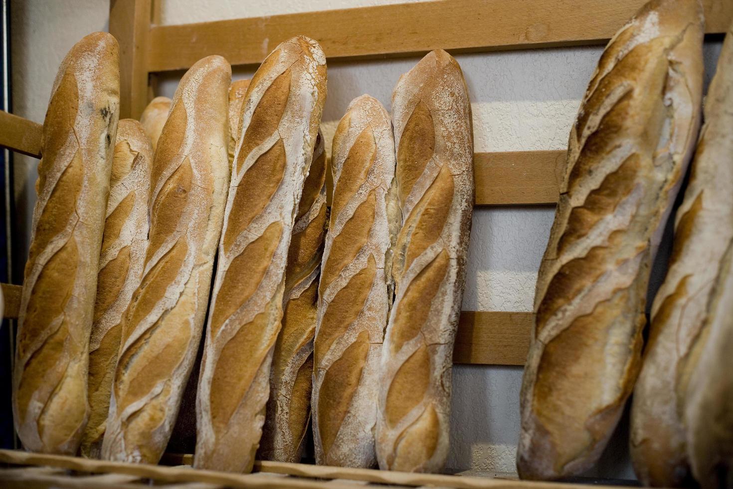 Authentic country bread in a French bakery photo