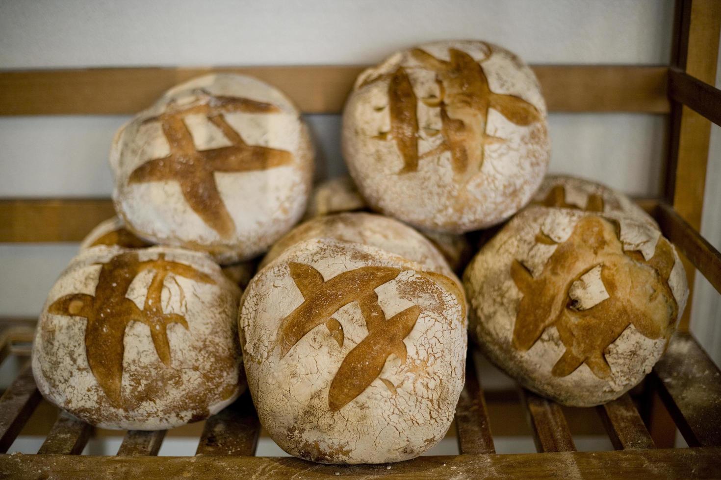 Authentic country bread in a French bakery photo