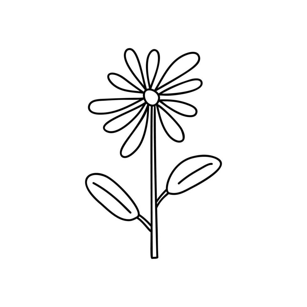 Vector stylized spring flower with monoline style