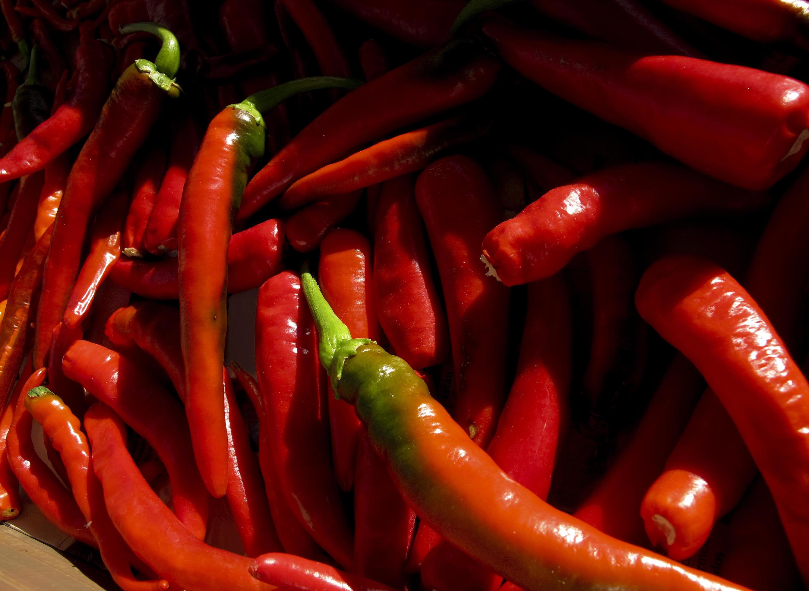 Detail of a single red chilli pepper, spain 3036193 Stock Photo at Vecteezy