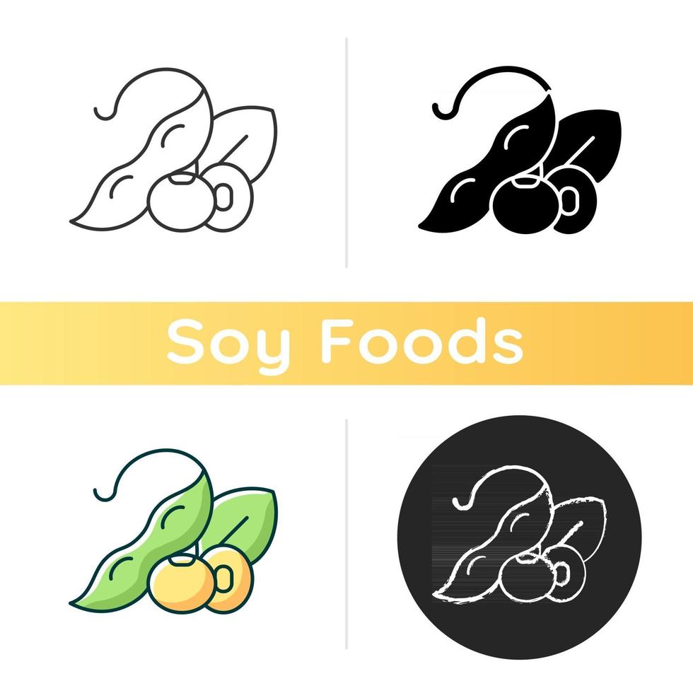 Soybean vector icon