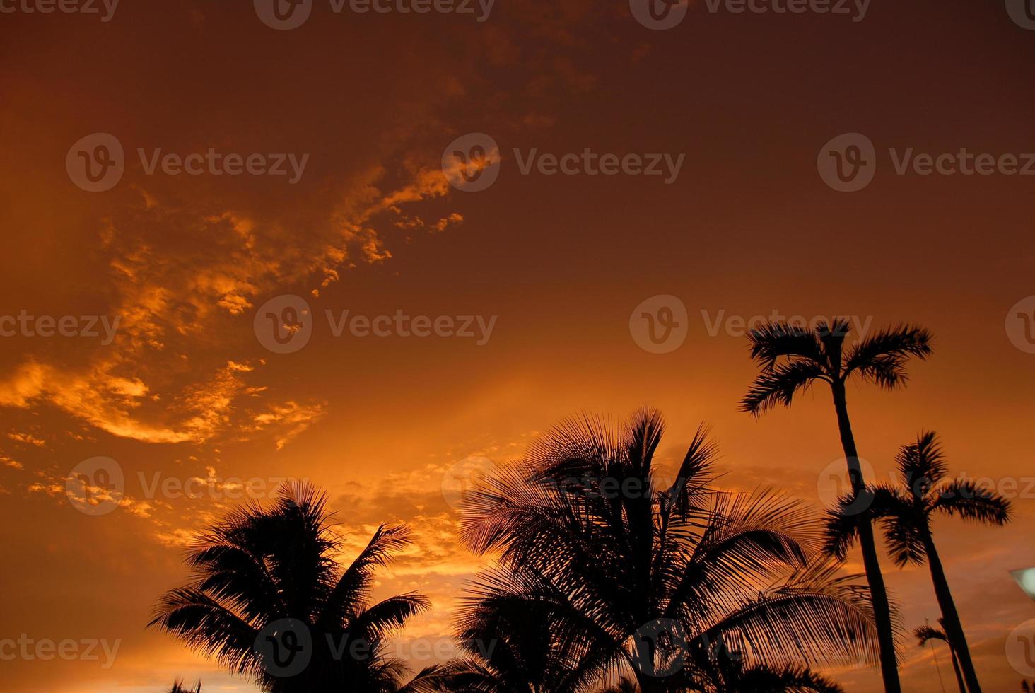 Red tropical sunset photo