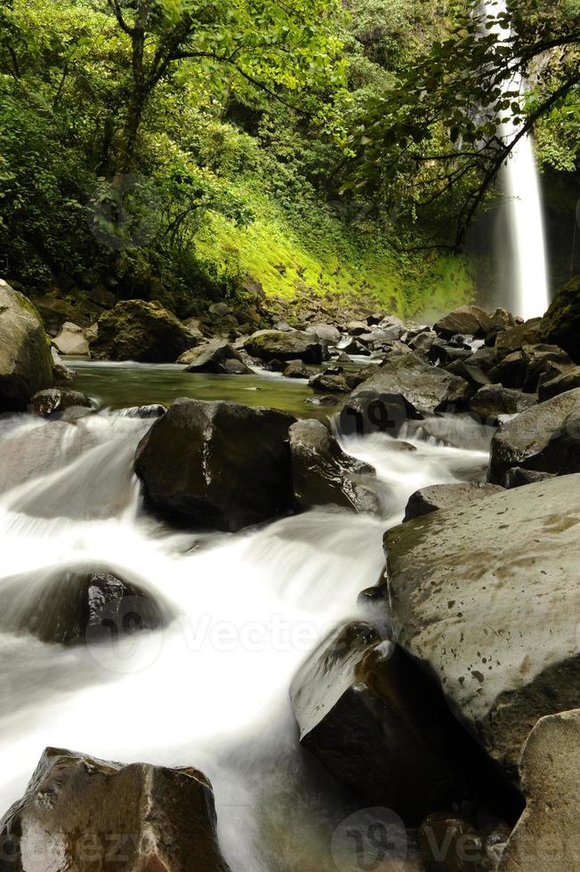 waterfall in the forest photo