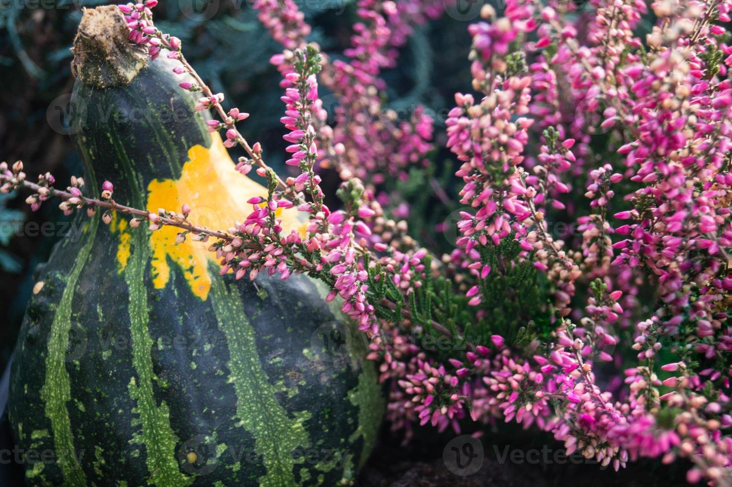 decoración anual de otoño foto