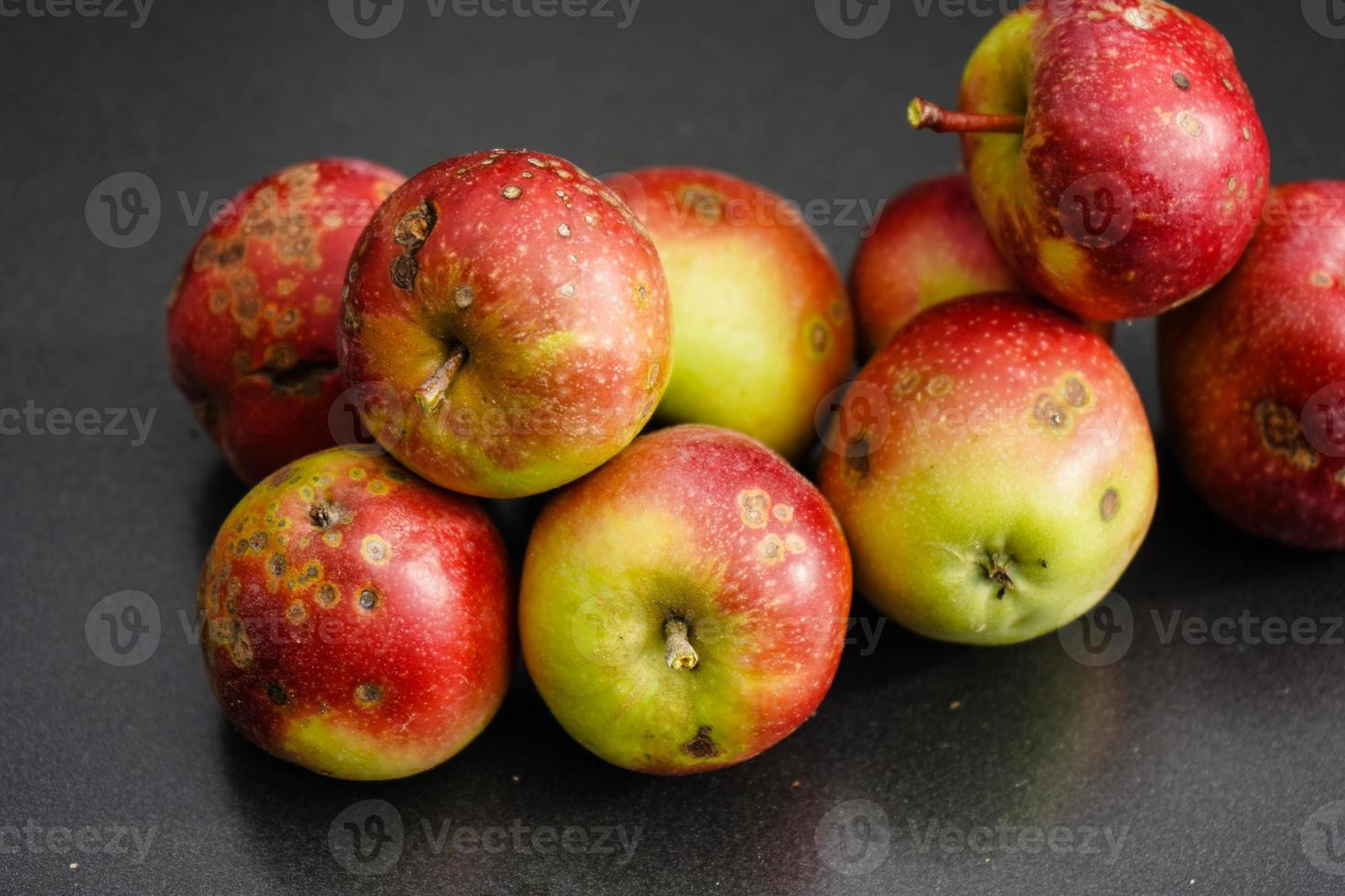 manzanas con enfermedad de la sarna de la manzana foto