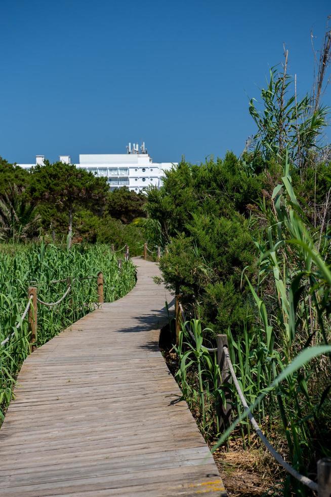 Pedestrian walkway on Migjorn beach in Formentera in Spain photo