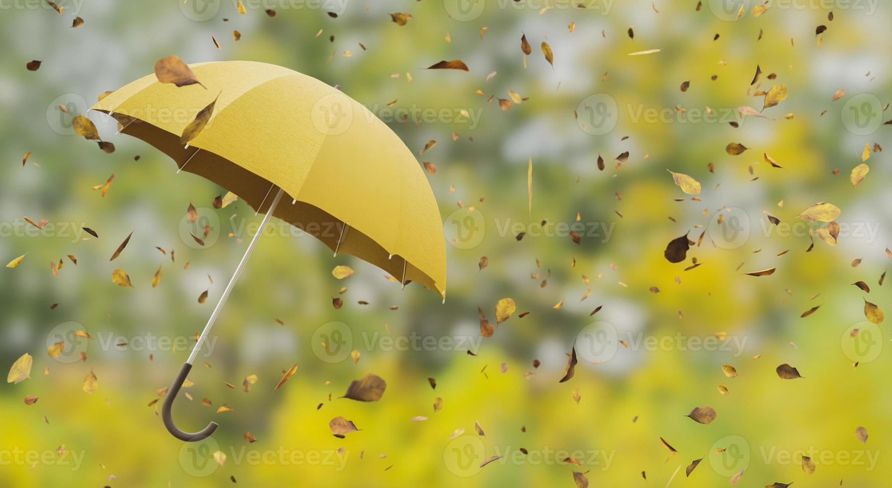 hojas cayendo sobre un paraguas foto