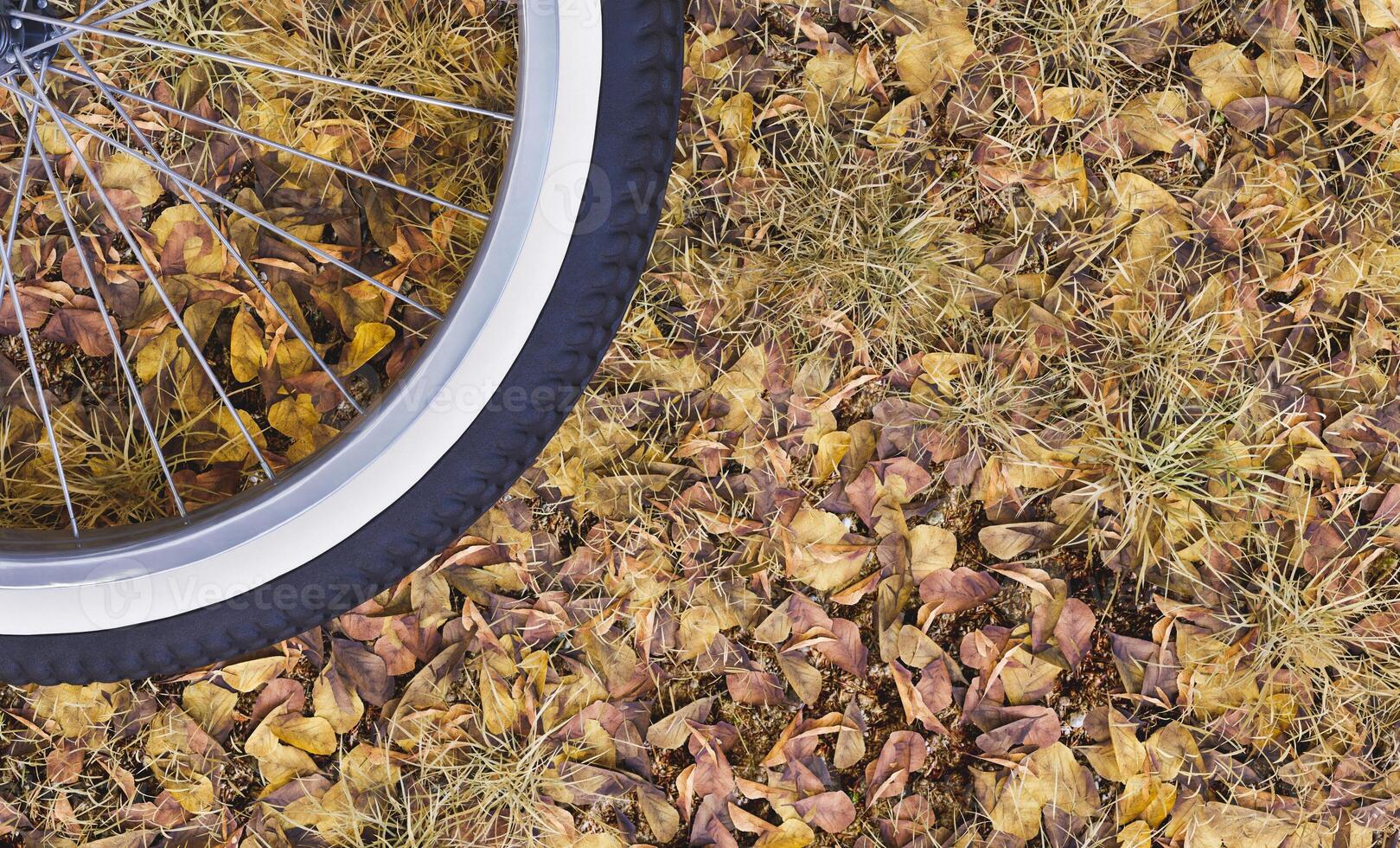 primer plano, de, un, rueda de bicicleta, en, hojas de otoño foto