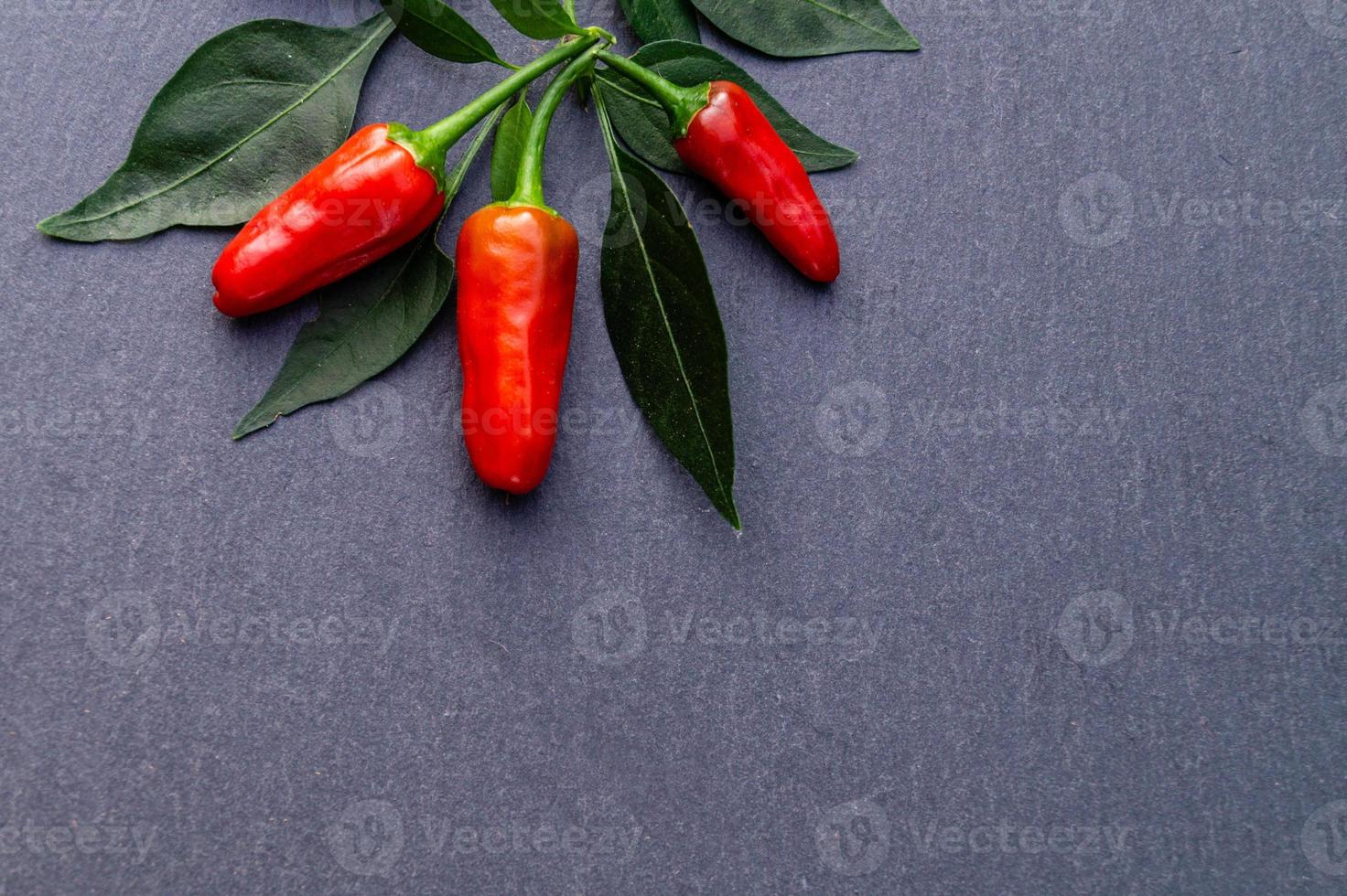 Red Chili Pepper spicy vegetable photo