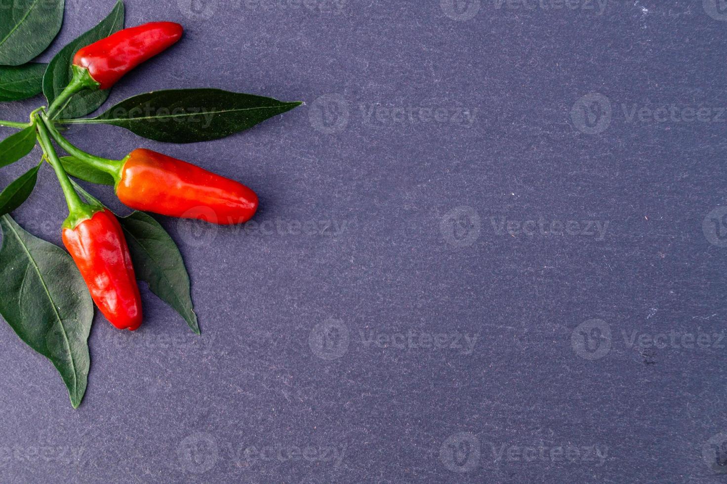 Red Chili Pepper spicy vegetable photo