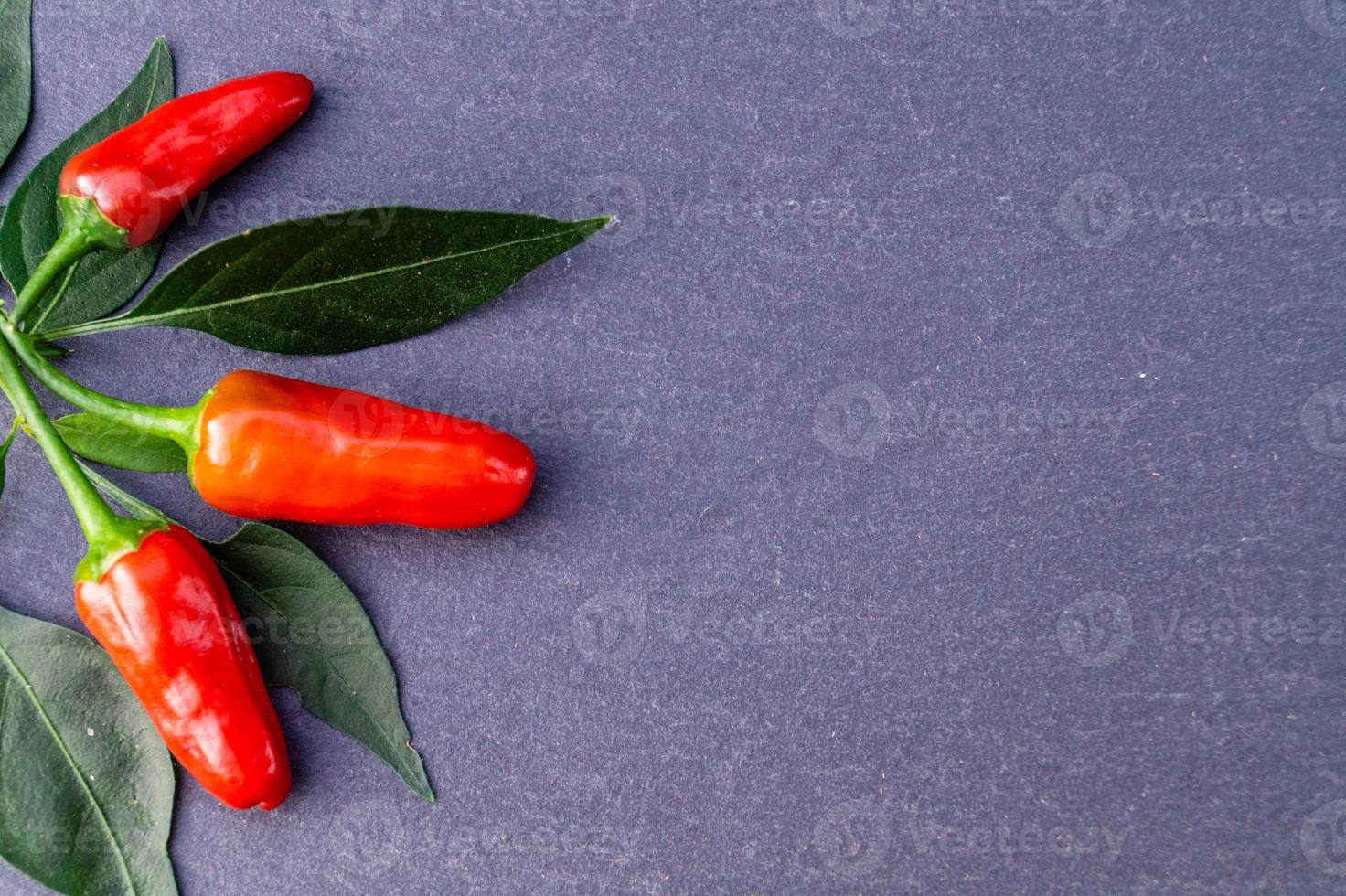 pimiento rojo picante vegetal foto