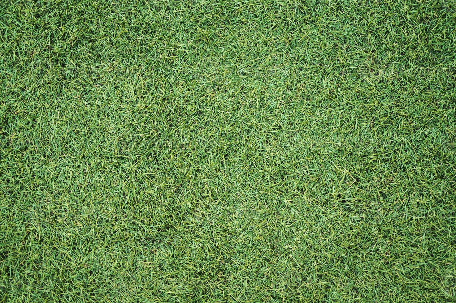 Artificial grass texture photo
