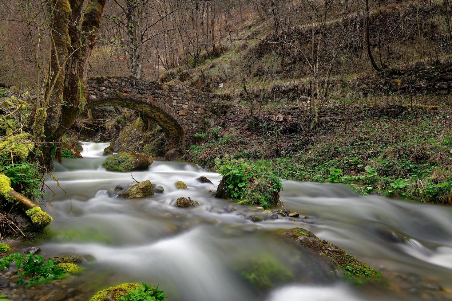 antiguo puente de piedra sobre el valle en el bosque foto