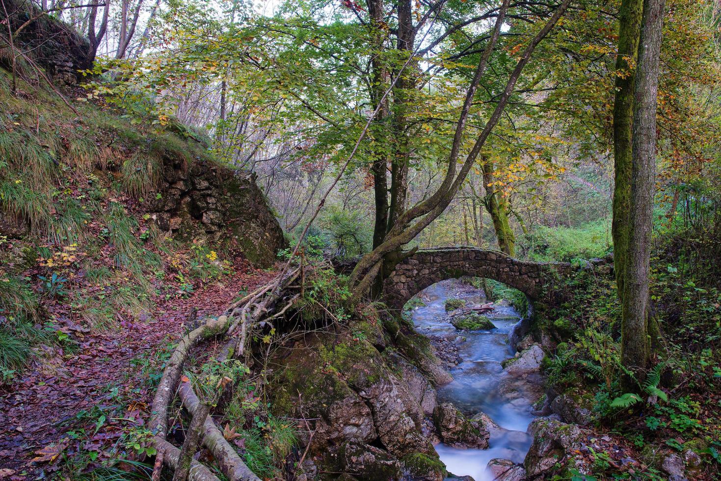 Pequeño puente antiguo de rocas en un arroyo en el bosque foto