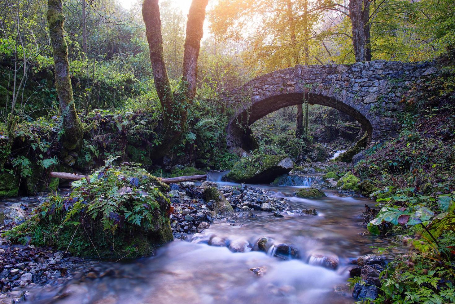 Pequeño puente antiguo de rocas en un arroyo en el bosque foto