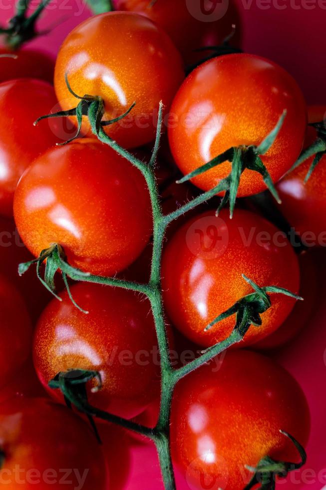 Tomates redondos rojos Solanum lycopersicum foto