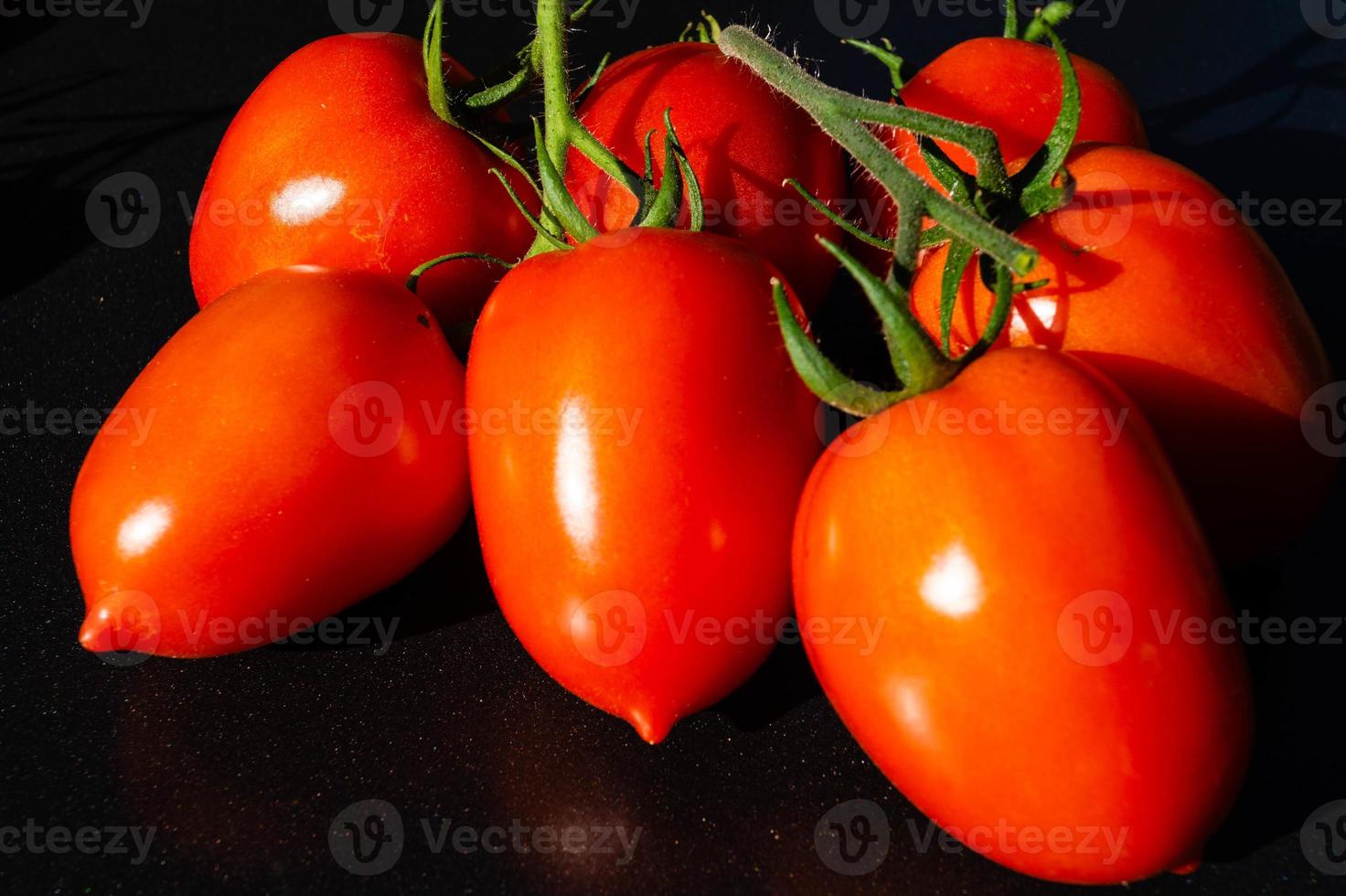 Tomates redondos rojos Solanum lycopersicum foto