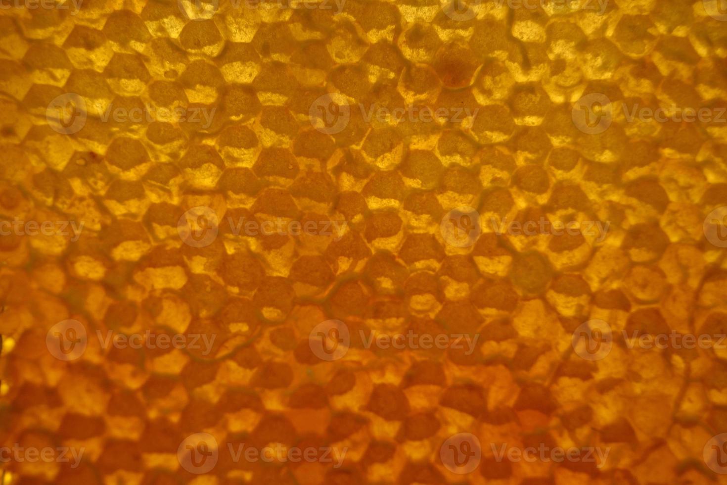 Drop of bee honey drip from hexagonal honeycombs photo