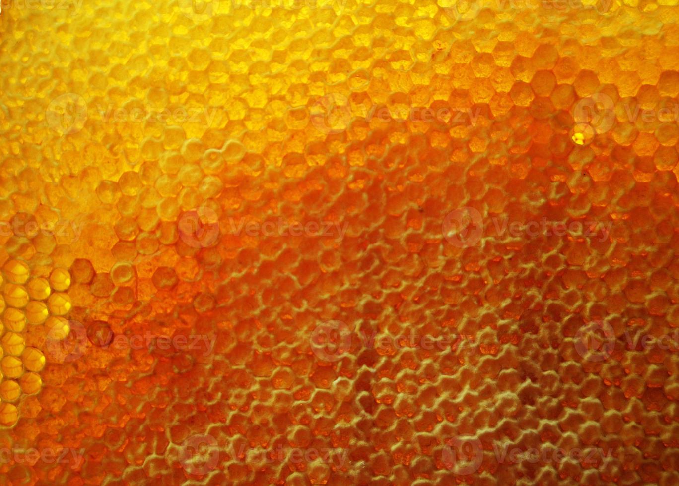 Drop of bee honey drip from hexagonal honeycombs photo