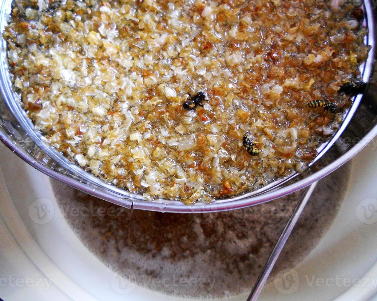 wax honeycomb from a bee hive filled with golden honey photo