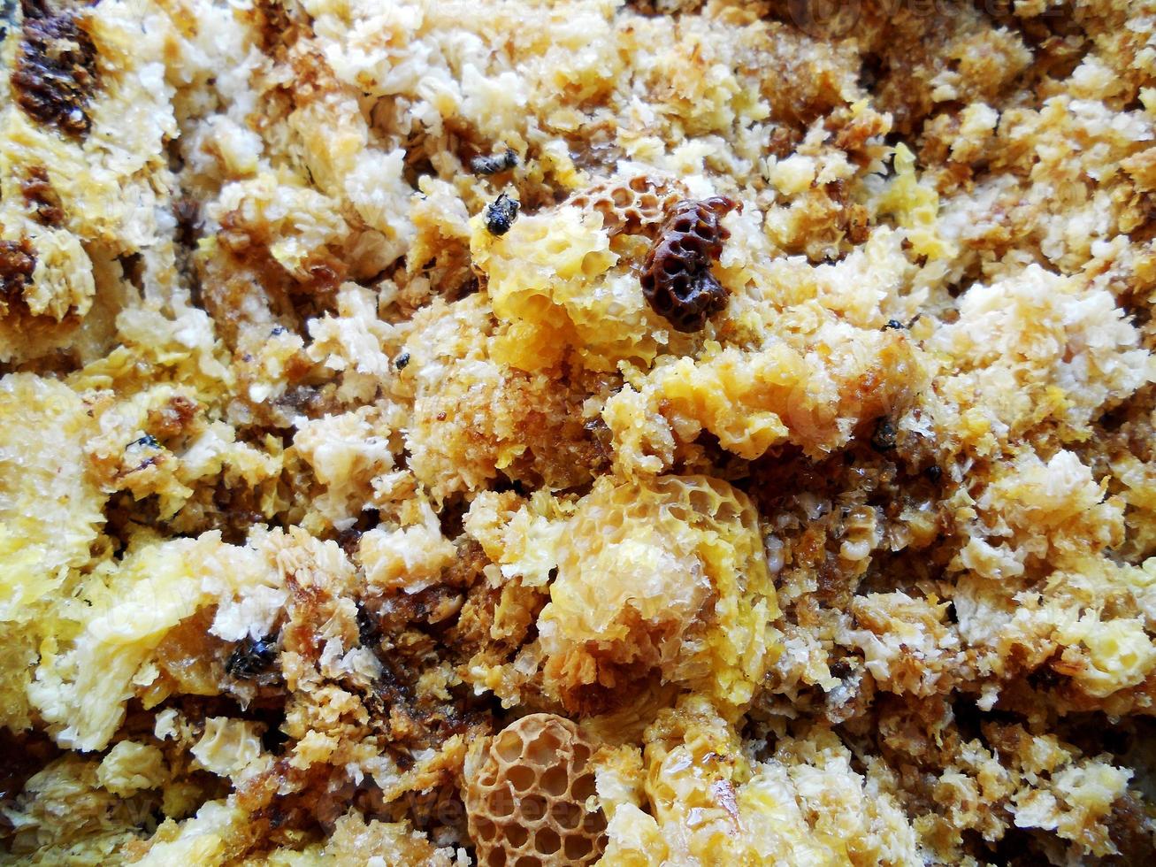 wax honeycomb from a bee hive filled with golden honey photo