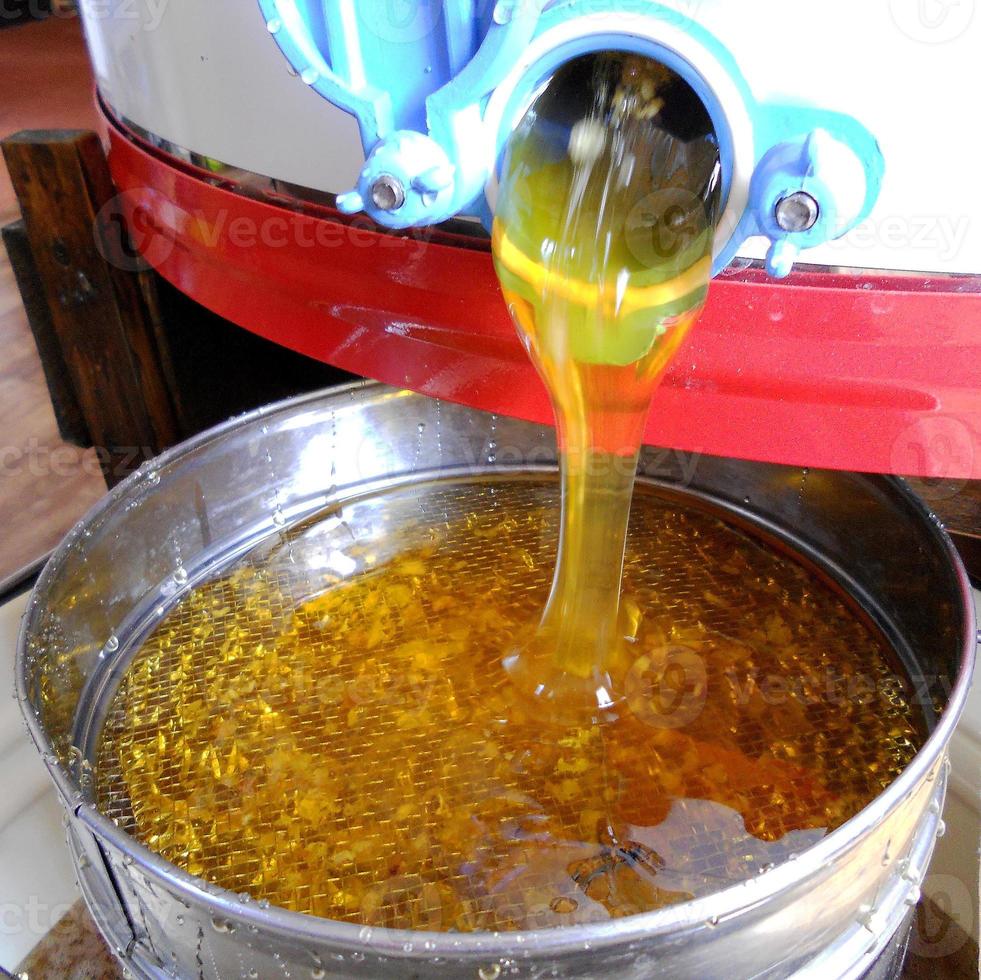 Background texture, dropping drops of sweet honey photo