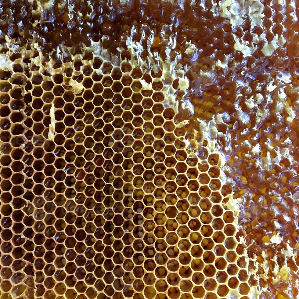gota de miel de abeja goteo de panales hexagonales llenos foto