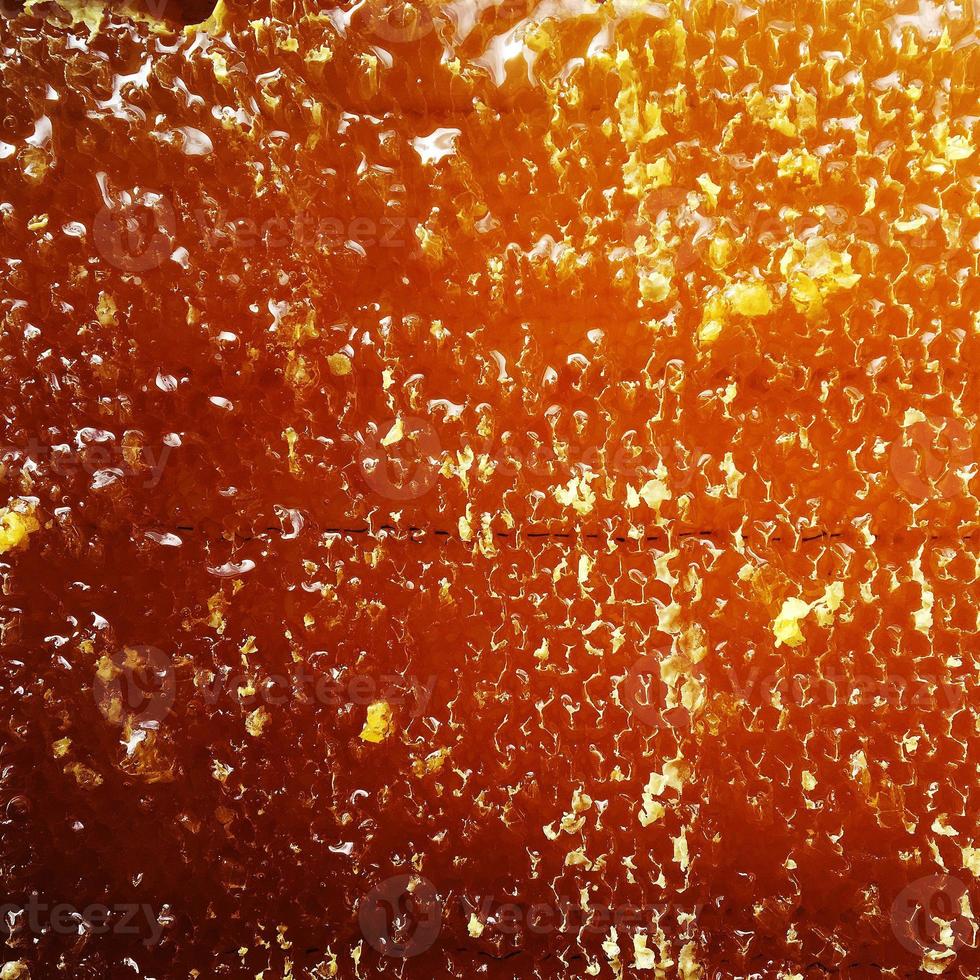 Drop of bee honey drip from hexagonal honeycombs filled photo