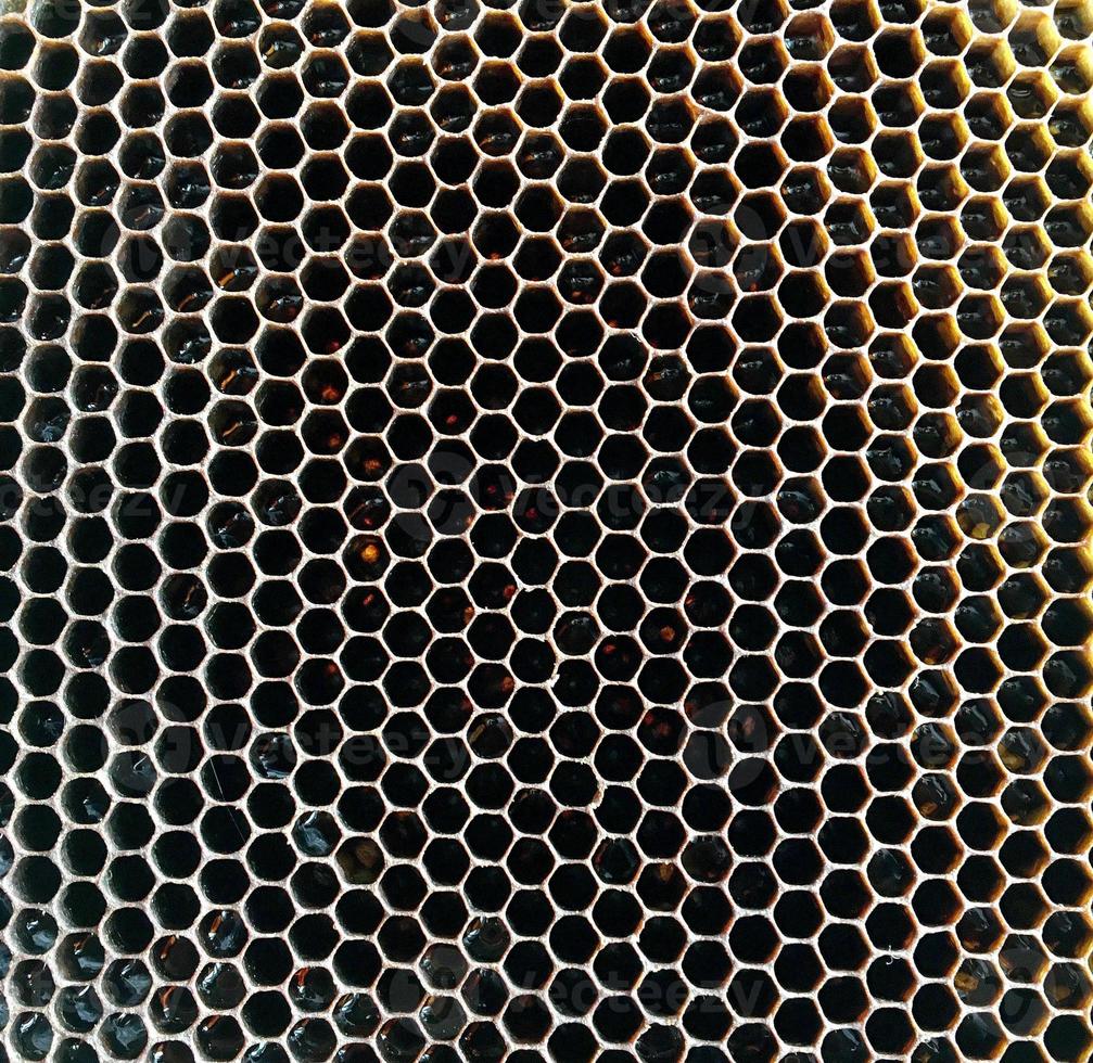 La estructura hexagonal es un panal de abejas de una colmena llena de miel dorada. foto