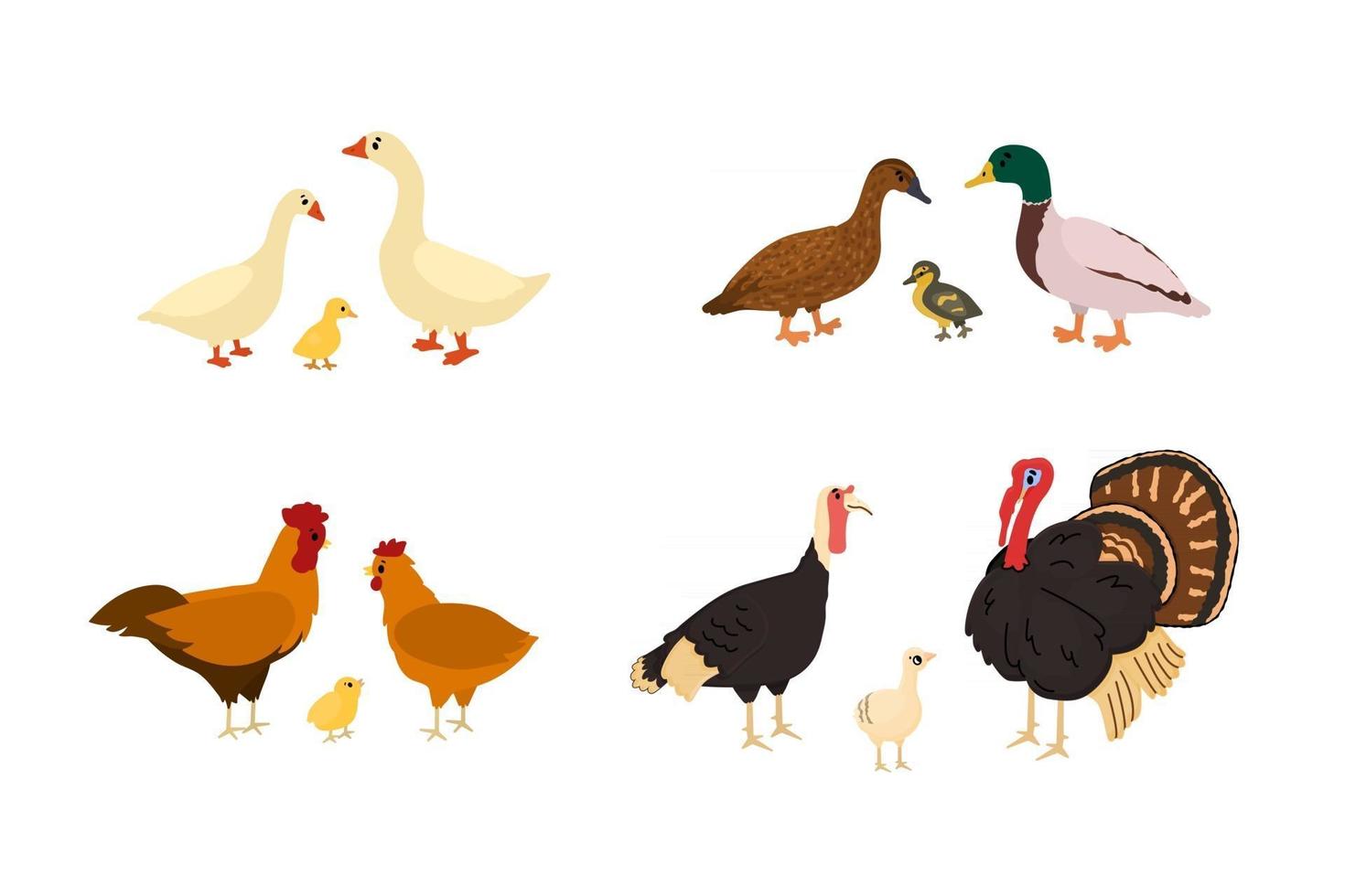 Cute cartoon duck, goose, chicken, rooster, turkey, chicken, gosling vector