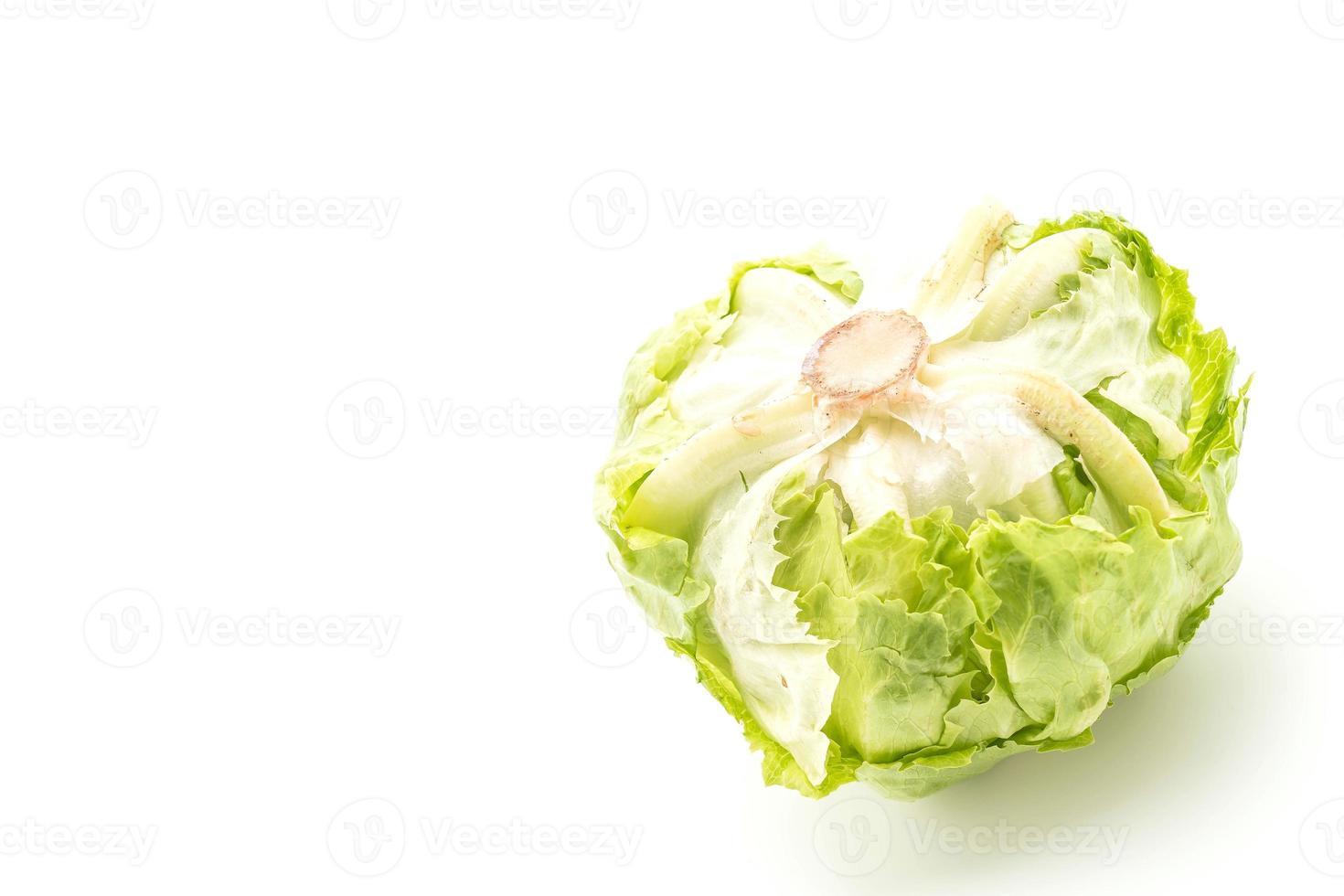 Fresh lettuce on white background photo
