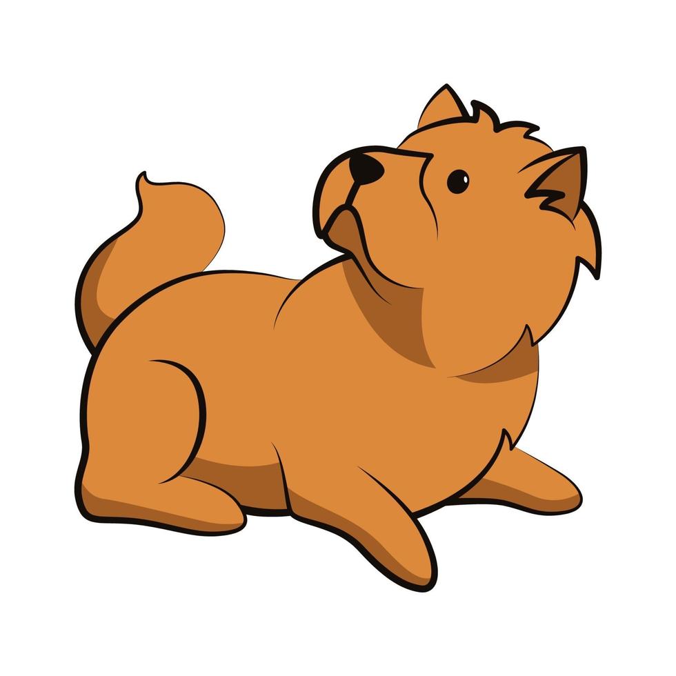 diseño plano de dibujos animados lindo perro chow chow vector