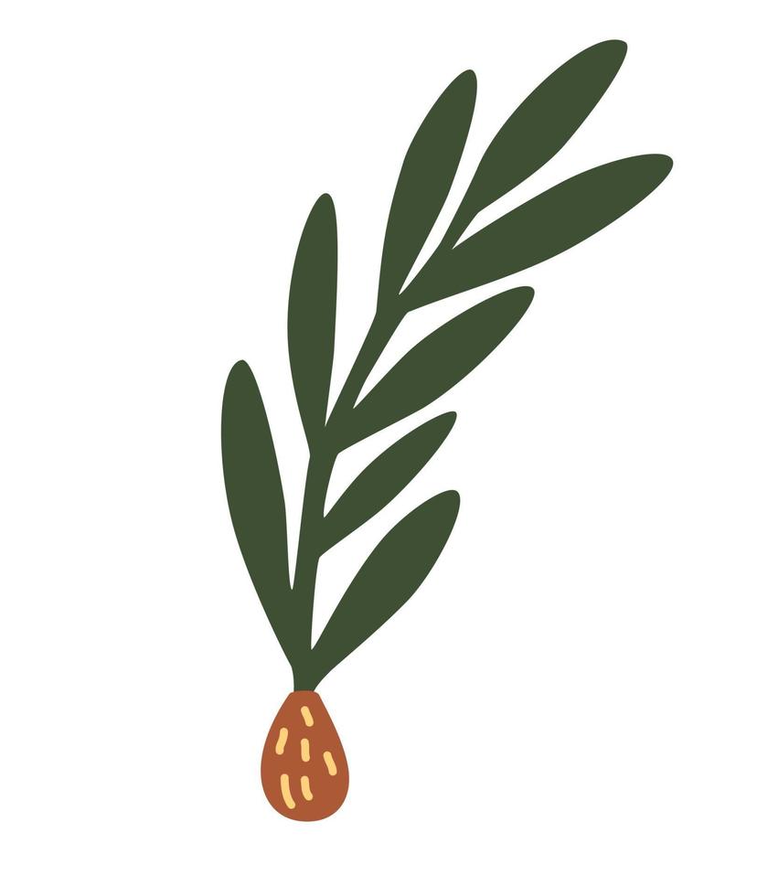 Spruce twig with a cone. Simple minimalistic green branch vector