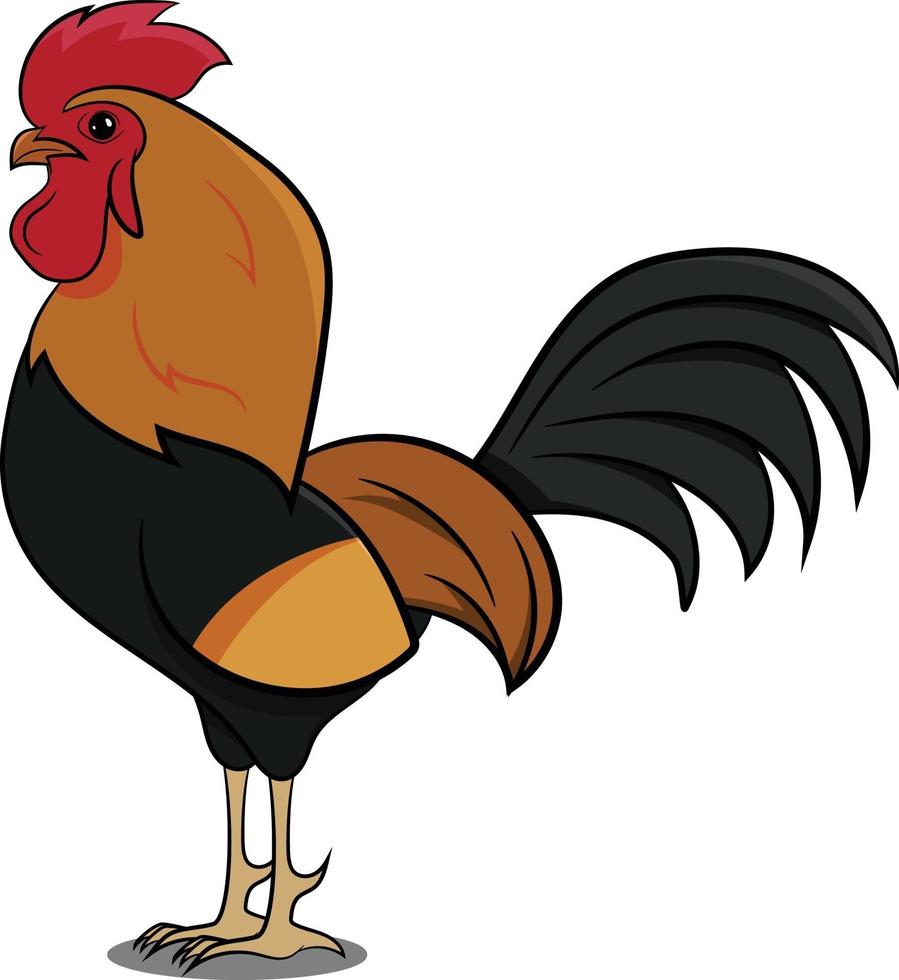 animales de granja de pollo gallo. pájaro de la granja. vector