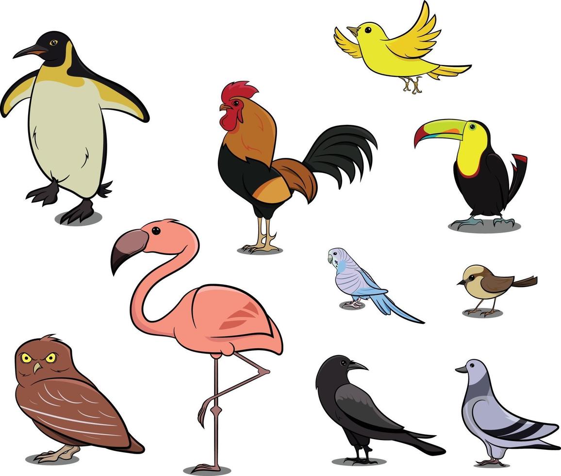 Penguin Chicken Sparrow Dodo Bird Pigeon Duck Swan Owl Crow. vector