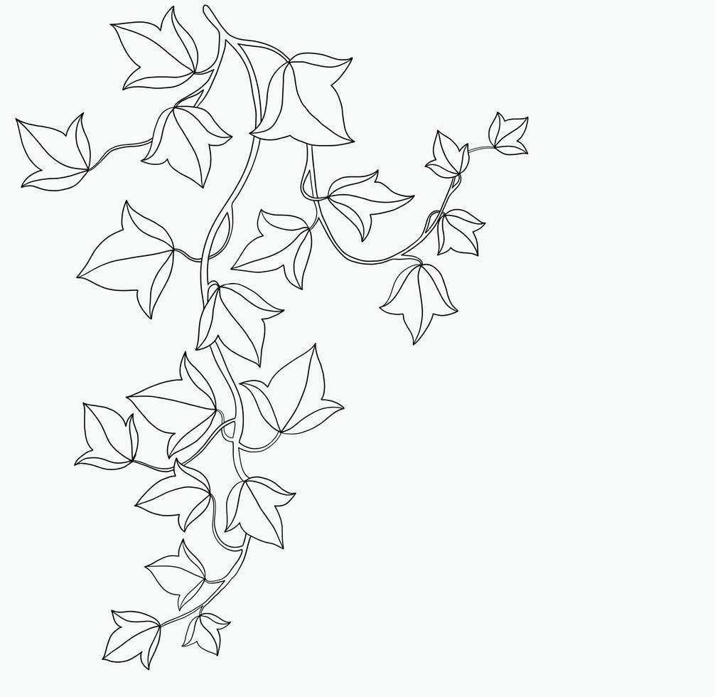 Simplicity ivy freehand drawing flat design. vector