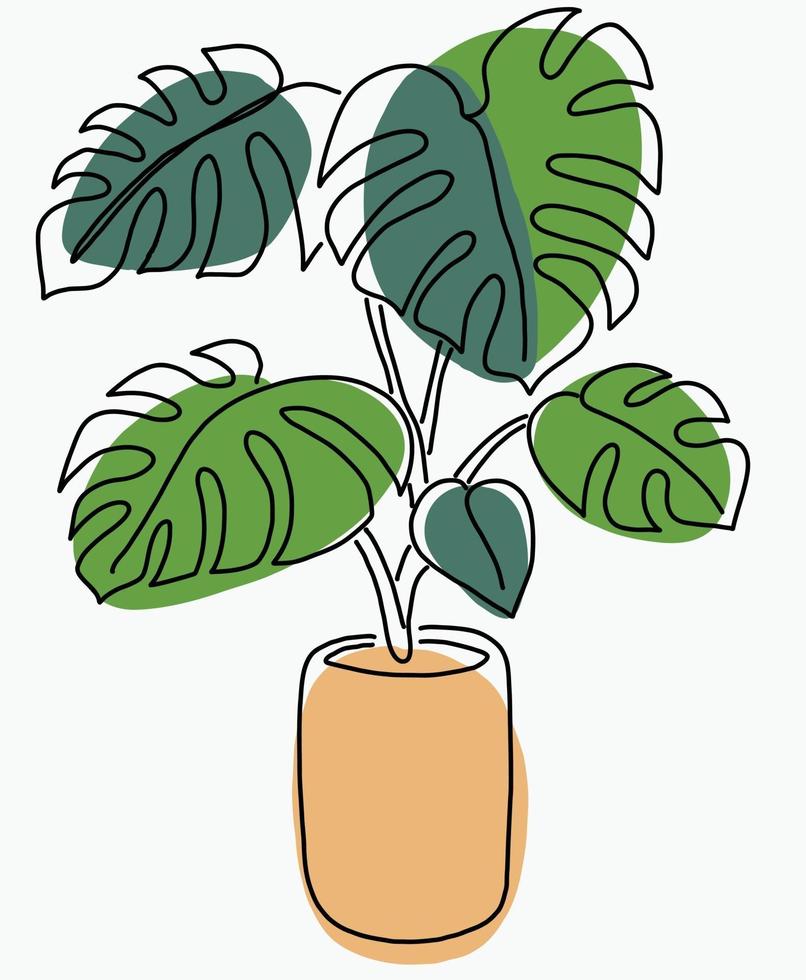 Simplicity monstera plant vector