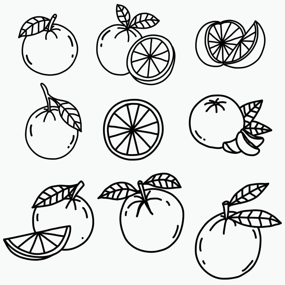 Doodle dibujo a mano alzada de fruta naranja. vector