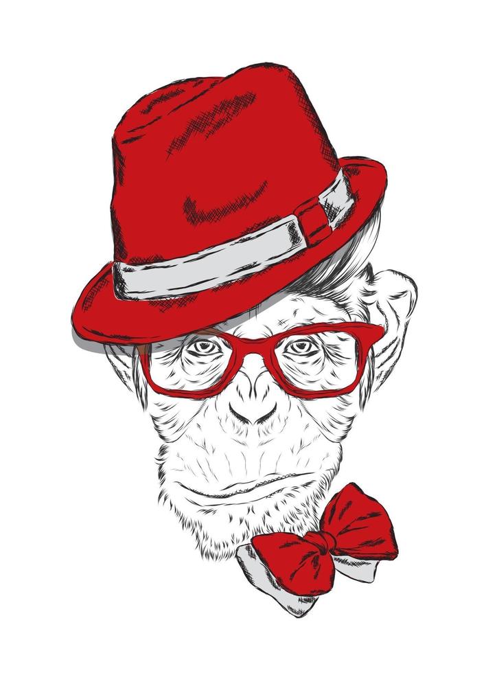 Beautiful monkey in hat and tie vector