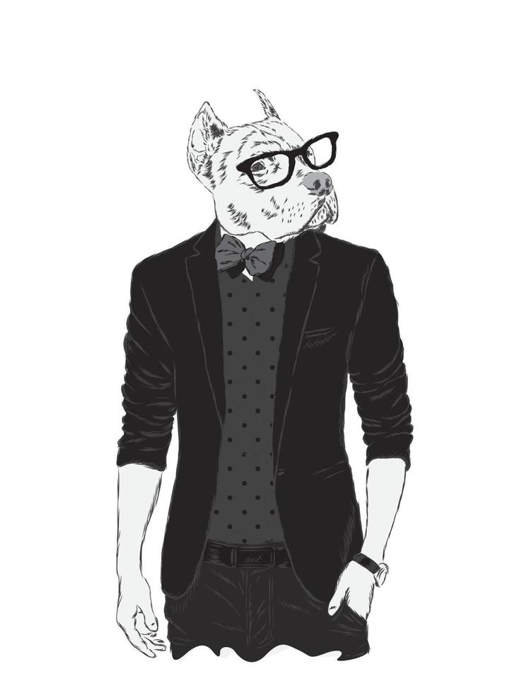 Beautiful hipster dog in stylish clothes and accessories vector