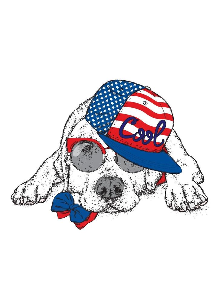 Beautiful hipster dog in stylish clothes and accessories vector